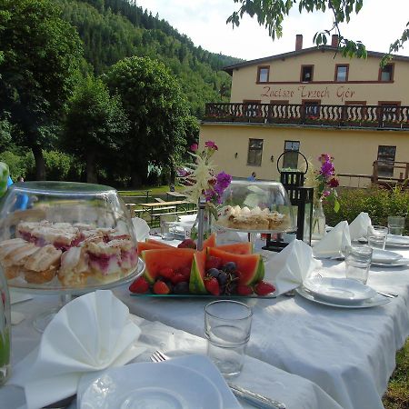 Zacisze Trzech Gor Villa Jedlina-Zdroj Bagian luar foto