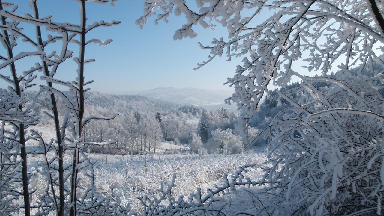 Zacisze Trzech Gor Villa Jedlina-Zdroj Bagian luar foto