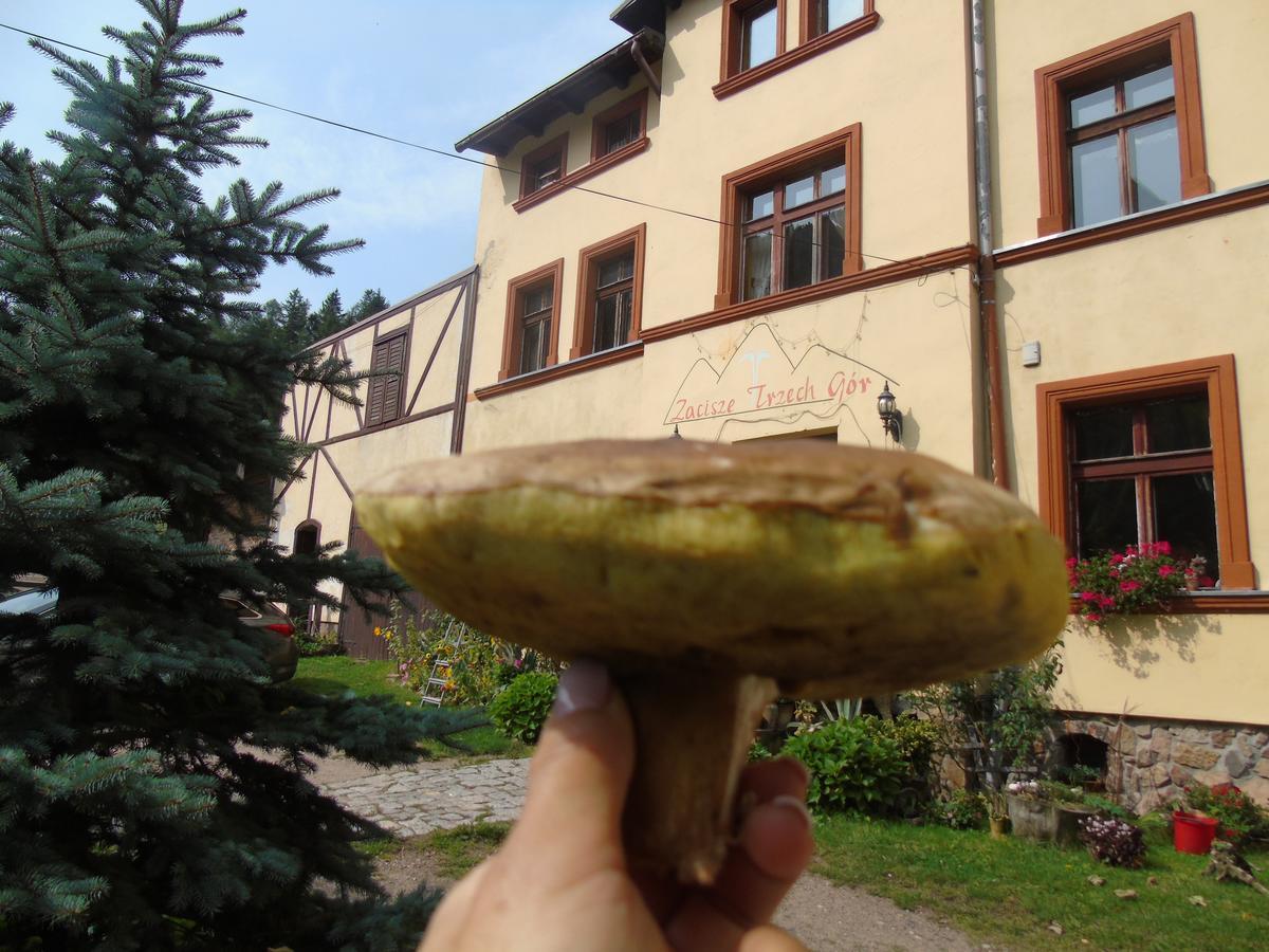 Zacisze Trzech Gor Villa Jedlina-Zdroj Bagian luar foto