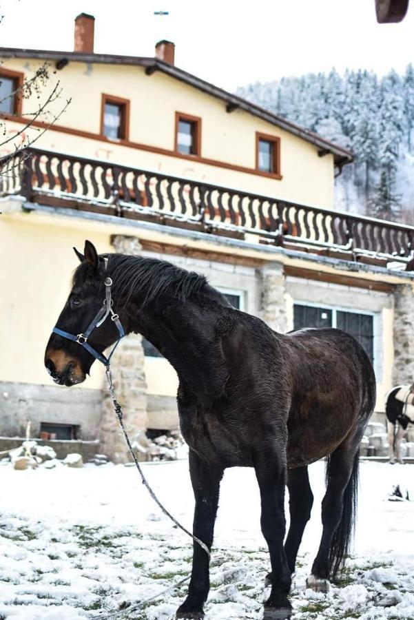 Zacisze Trzech Gor Villa Jedlina-Zdroj Bagian luar foto