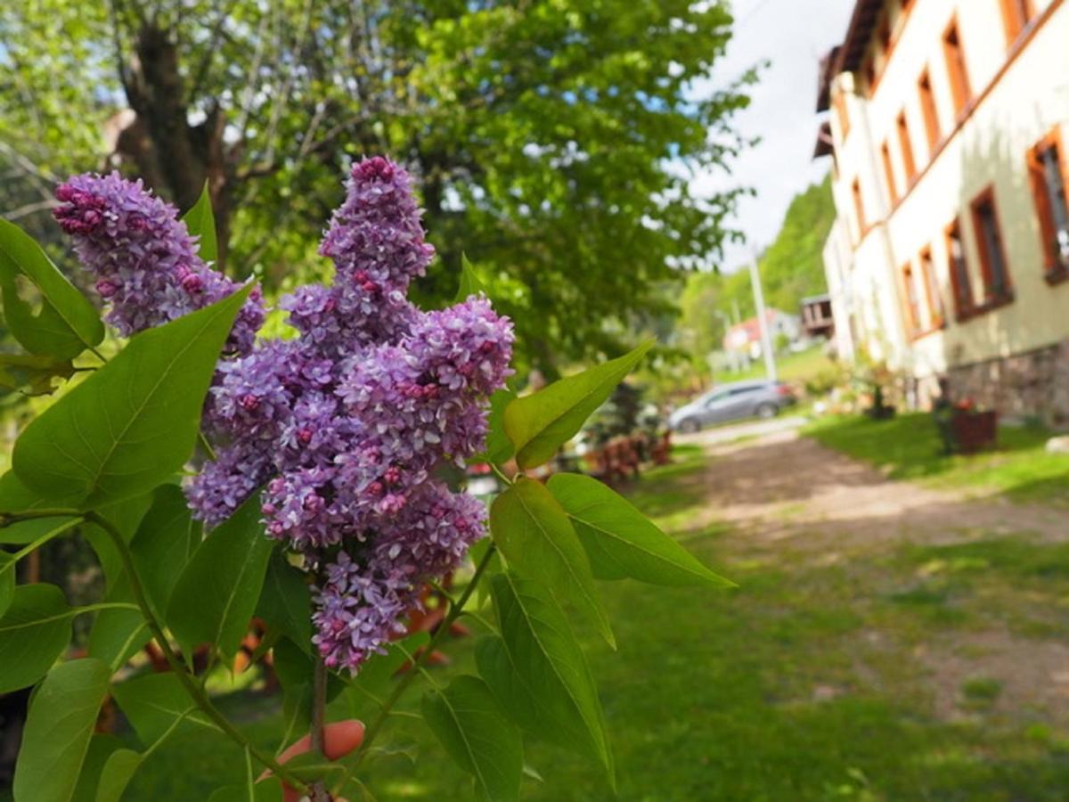 Zacisze Trzech Gor Villa Jedlina-Zdroj Bagian luar foto